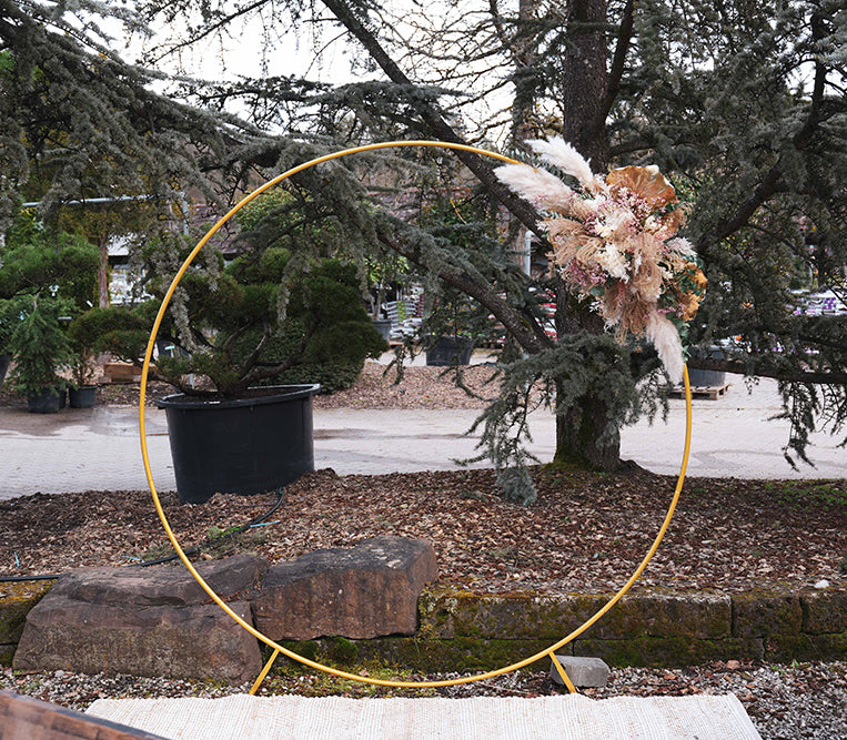 Traubogen gold