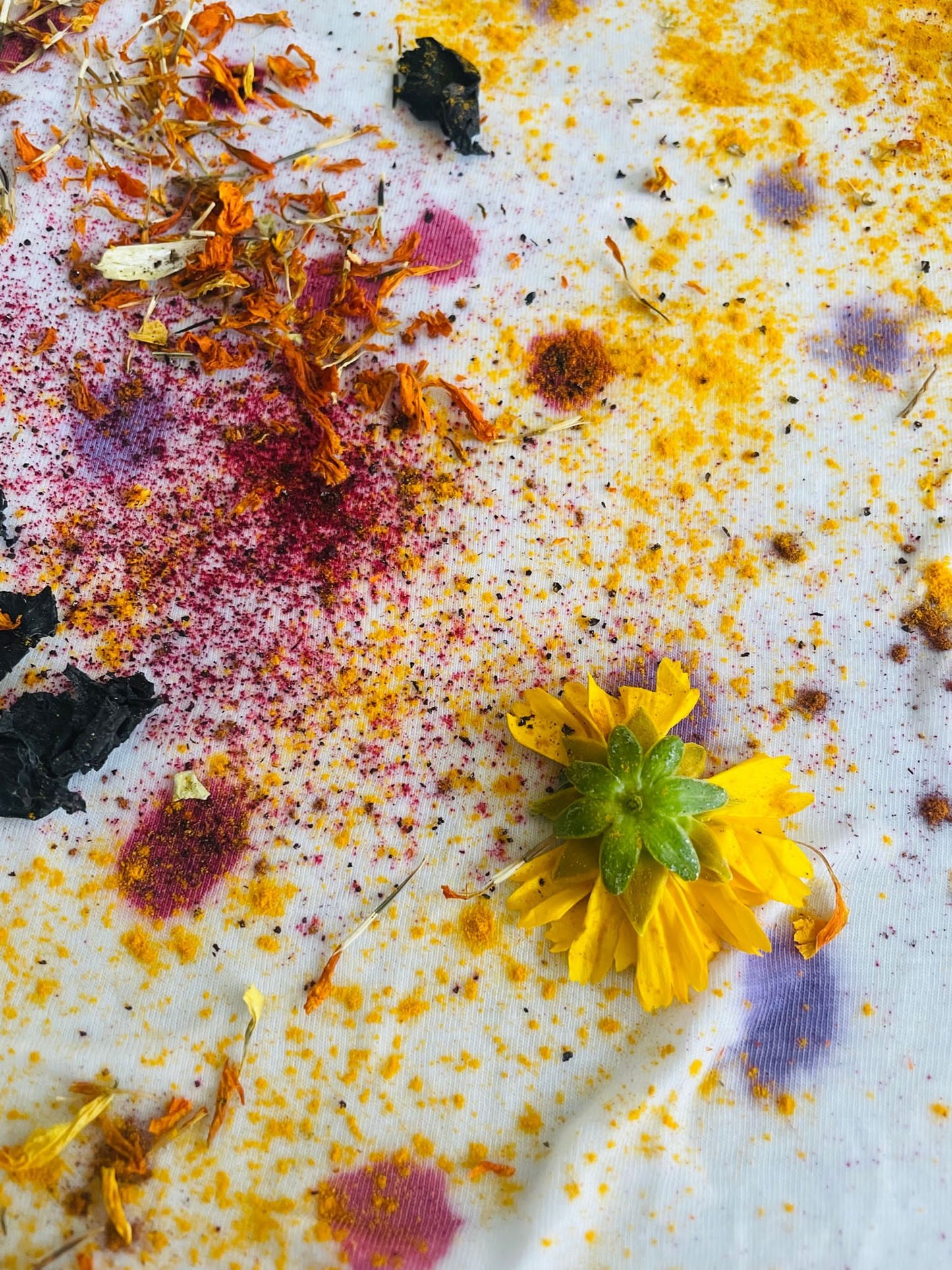 Natürlich Färben mit der Bundle Dye Technik | Termin auf Anfrage