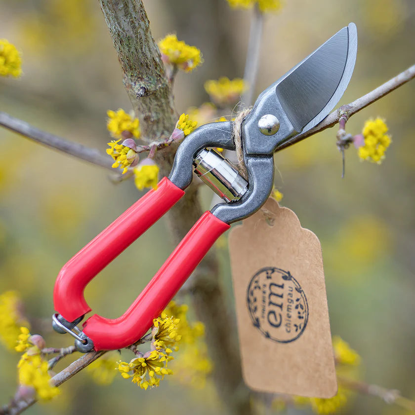 Mini Gartenschere in rot hängt an Ast. 