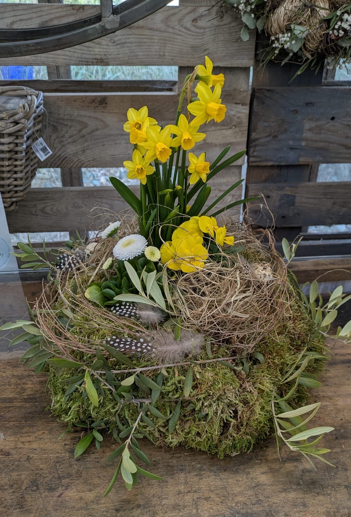 Frühlingsnest aus Moos