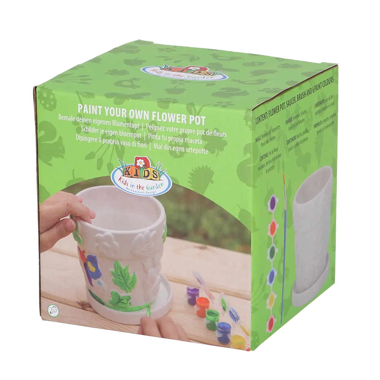 Verpackung für DIY Blumentopf und Farbe