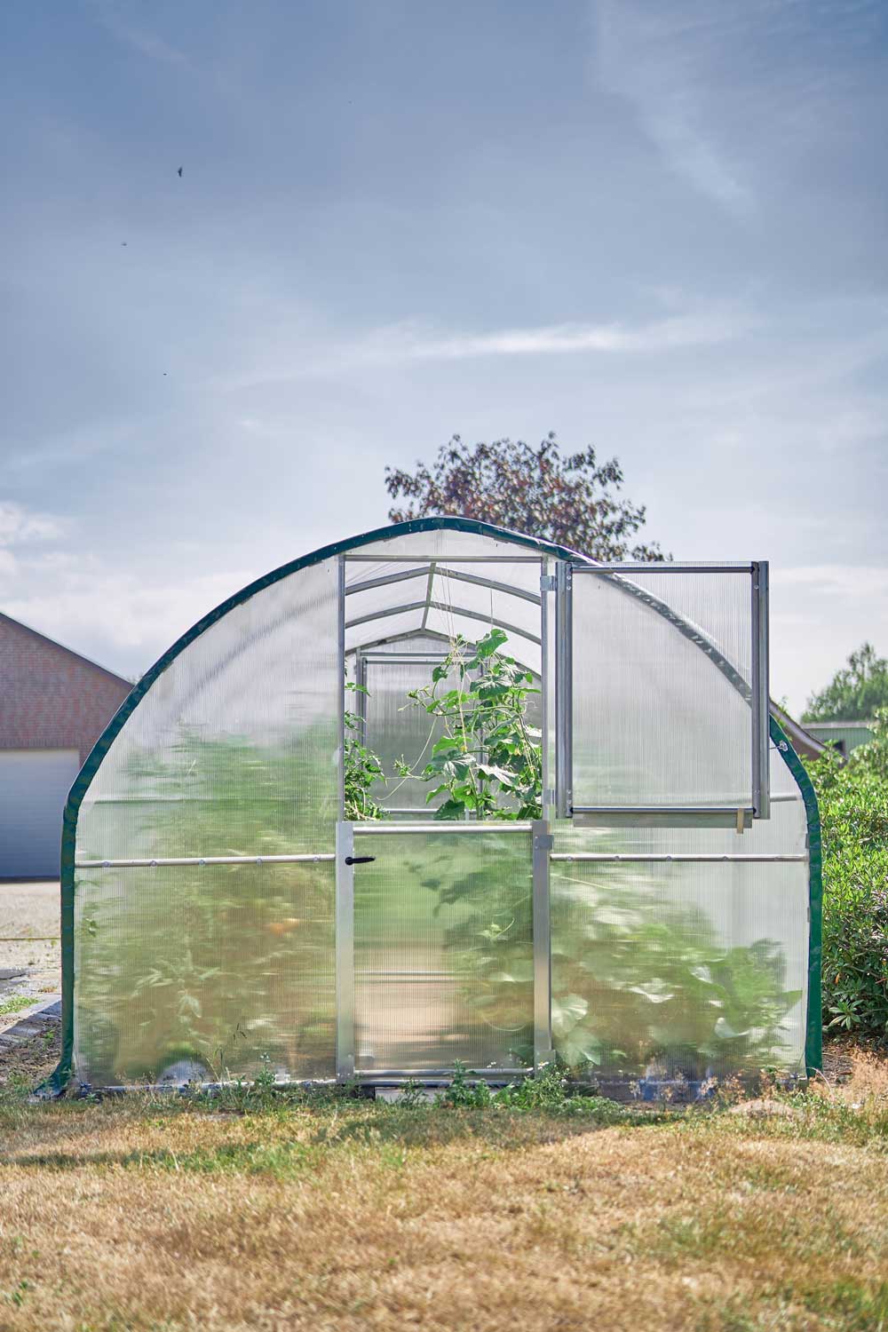 Grüner Bogen Oval – Hobby-Gewächshaus für Gemüse- & Blumenanzucht