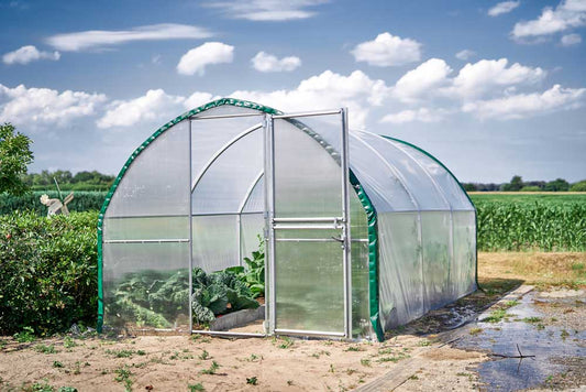 Grüner Bogen Oval – Hobby-Gewächshaus für Gemüse- & Blumenanzucht